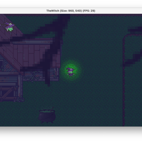 Cover image of The Witch